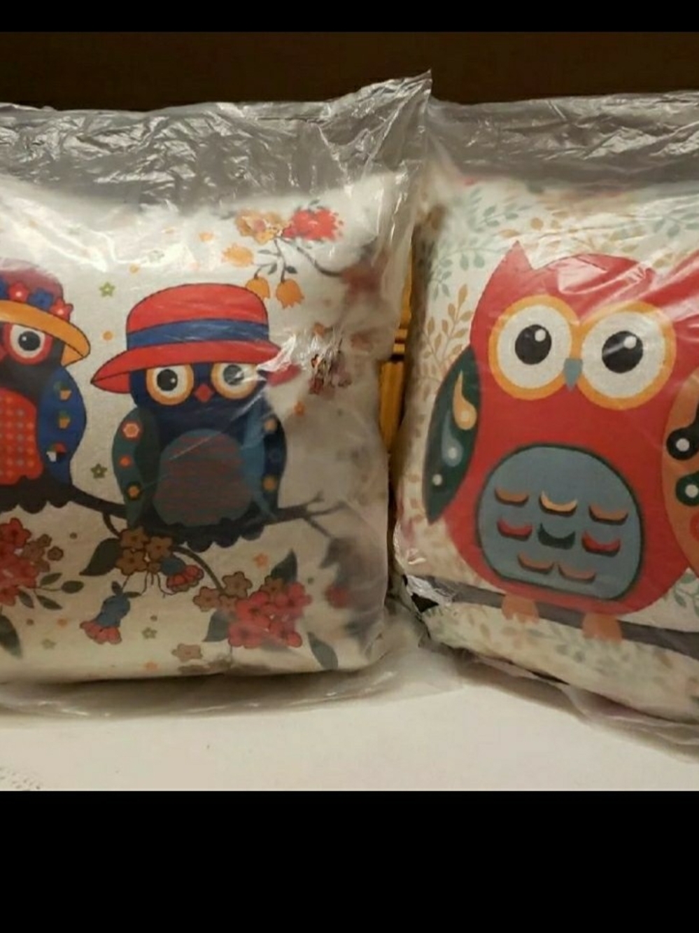 Set Of 2 *OWL* Cushion/Pillows